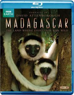 BBC 馬達加斯加 (1) 奇跡之島 (Madagascar Island of Marvels)
