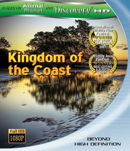 動物星球海岸王國 (Animal Planet and Discovery HD Kingdoms of The Coast)