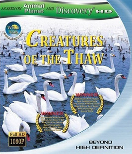動物星球之解凍的生物 (Animal Planet and Discovery HD Creatures of The Thaw)