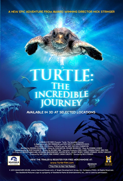 海龜 在海裡飛翔 (紅藍3D) (Turtle - The Incredible Journey)