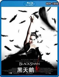 黑天鵝 (Black Swan)