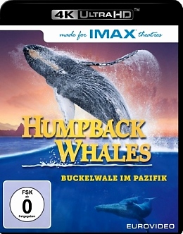座頭鯨 (杜比全景聲) - 50G (4K) (Humpback Whales )