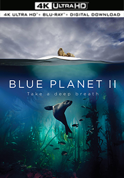 BBC 藍色星球2 - 50G (4K) (3碟裝) (Blue Planet II)