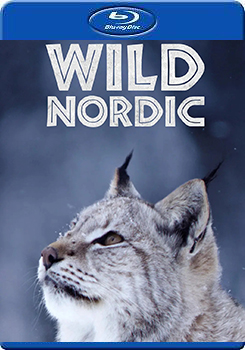 野性北歐 第一季 (2碟裝) (Wild Nordic Season 1)