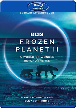 冰凍星球 第二季 (2碟裝) (Frozen Planet Season 2)