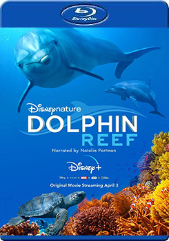 海豚礁 (Dolphin Reef)