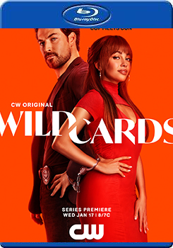 百變王牌 (2碟裝) (Wild Cards)